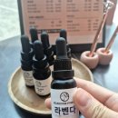톤스파앤바디 이미지