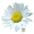 산본중앙공원 이미지