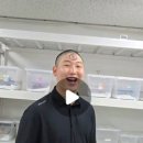 폴리네시아게코