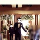 본테일러본한복
