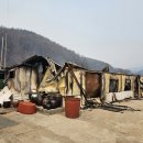 고향 산불 화재 현장(2025.3.26) 이미지