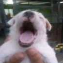 (주)신하남모터풀 | <시인을 위하여 in ZIP : 모종의 크리스마스> 공연 후기(벨로주 홍대)