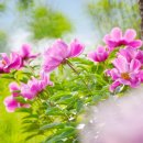 절골식당 이미지