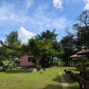 레티피코 이미지