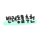 헤이블루 이미지