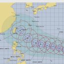 지연슈퍼 | 제9호 슈퍼 태풍 바비(Bavi) 실시간 항공 결항 지연 도시 예측,항공 호텔 취소 수수료 폭탄 피하기!