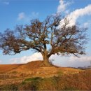 경지 태양광발전소 이미지