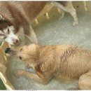 진해유치원 이미지