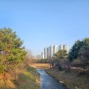 소망 마음속에 기르다 : 향기시집, 나태주 시인과 한서형 향기작가의 콜라보 마음 향기시집 시리즈로...