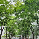 신안평거녹지 | 진주시 평거동 간단 임장1- 평거현대1차/2차, 주공1/2/3차