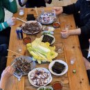 우포의 숲속 이미지