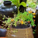 바른먹거리 이미지