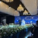 라루스 - 기장군 정관4로 50-16 | 평택 어두운 웨딩홀 국제웨딩컨벤션 라루스홀 하객 솔직후기 (뷔페 + 주차 위주)