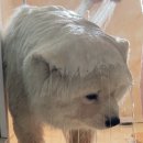 이천K크로스핏 이미지