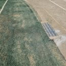 화순제일초등학교 이미지