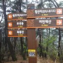 야은초교 이미지