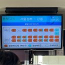 서연칼국수 | 서연언니와 강릉 힐링 여행🌊 (250817-250818)