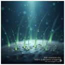 에브리랩 | 뷰티 랩 실험실 리포트 - 에브리톡톡 헤어토닉