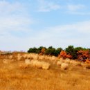 숙이목장 이미지