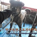 청신로 이미지