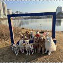 굿데이독 케어센터 이미지