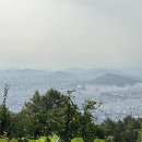 인향 이미지