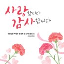 오늘모해요