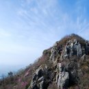 진달래화원 이미지