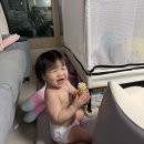 다온이네 - 시흥시 배곧4로 81-52 | 다온이네