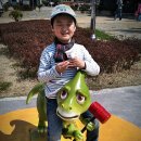 경남 고성 당항포 오토캠핑장