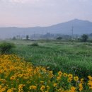 두루봉농원 이미지