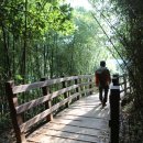 출렁다리 민박 이미지