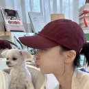 복호프치킨 네이버블로그
