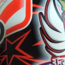 뱅갈냥이 이미지