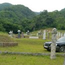 금호장의사 - 서천군 사곡길 4 | 금호장의사