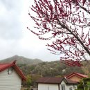 천반산민박 이미지