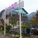 강여울 숲 이미지