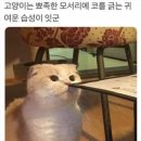 제뉴어리 이미지