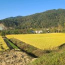 구담마을 이미지