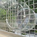 팬더랜드 이미지