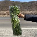 논실농원식당 이미지