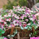 신지면사무소 이미지