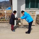 금용씽크 이미지