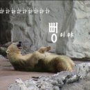 민혁이네