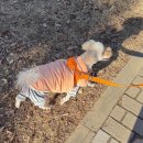 즐거운애견미용실 | [향동 애견용품] 드디어 생긴 24시 무인펫샵 멍냥의민족 향동점