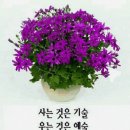 청합니다 이미지