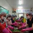 효돈농업협동조합 이미지