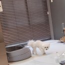 보듬보듬 이미지