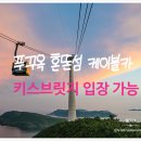 케이블브릿지