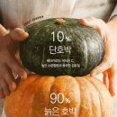 호박몰 이미지